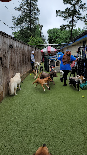 Preppy Pet Northwest Houston