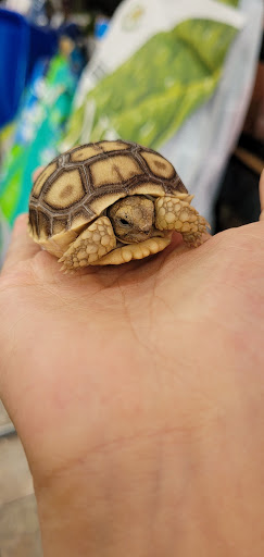 Pet Supply Store «Paw Shoppe Pet Center», reviews and photos, 6416 E Spring St, Long Beach, CA 90815, USA