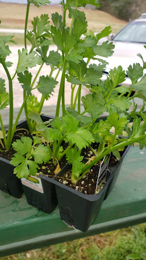 Animal Feed Store «Maddox Feed & Seed», reviews and photos, 1915 Winder Hwy, Jefferson, GA 30549, USA