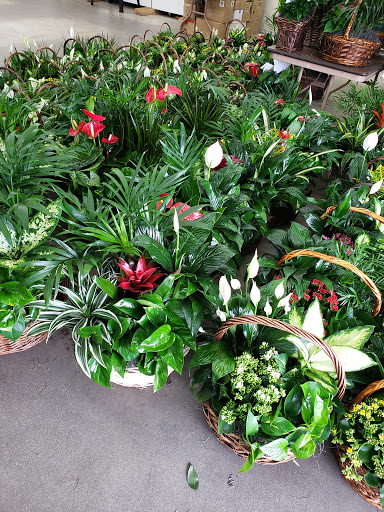 Florist «Flower Patch», reviews and photos, 1595 W 9000 S, West Jordan, UT 84088, USA