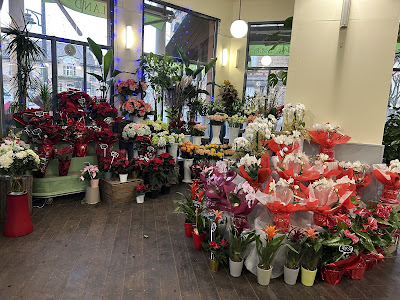 Queens Land fleuriste - Suresnes à Suresnes
