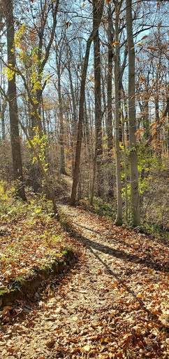 State Park «Rosaryville State Park», reviews and photos, 7805 W Marlton Ave, Clinton, MD 20735, USA