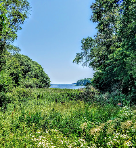 Vineyard «Westport Rivers Vineyard», reviews and photos, 417 Hixbridge Rd, Westport, MA 02790, USA