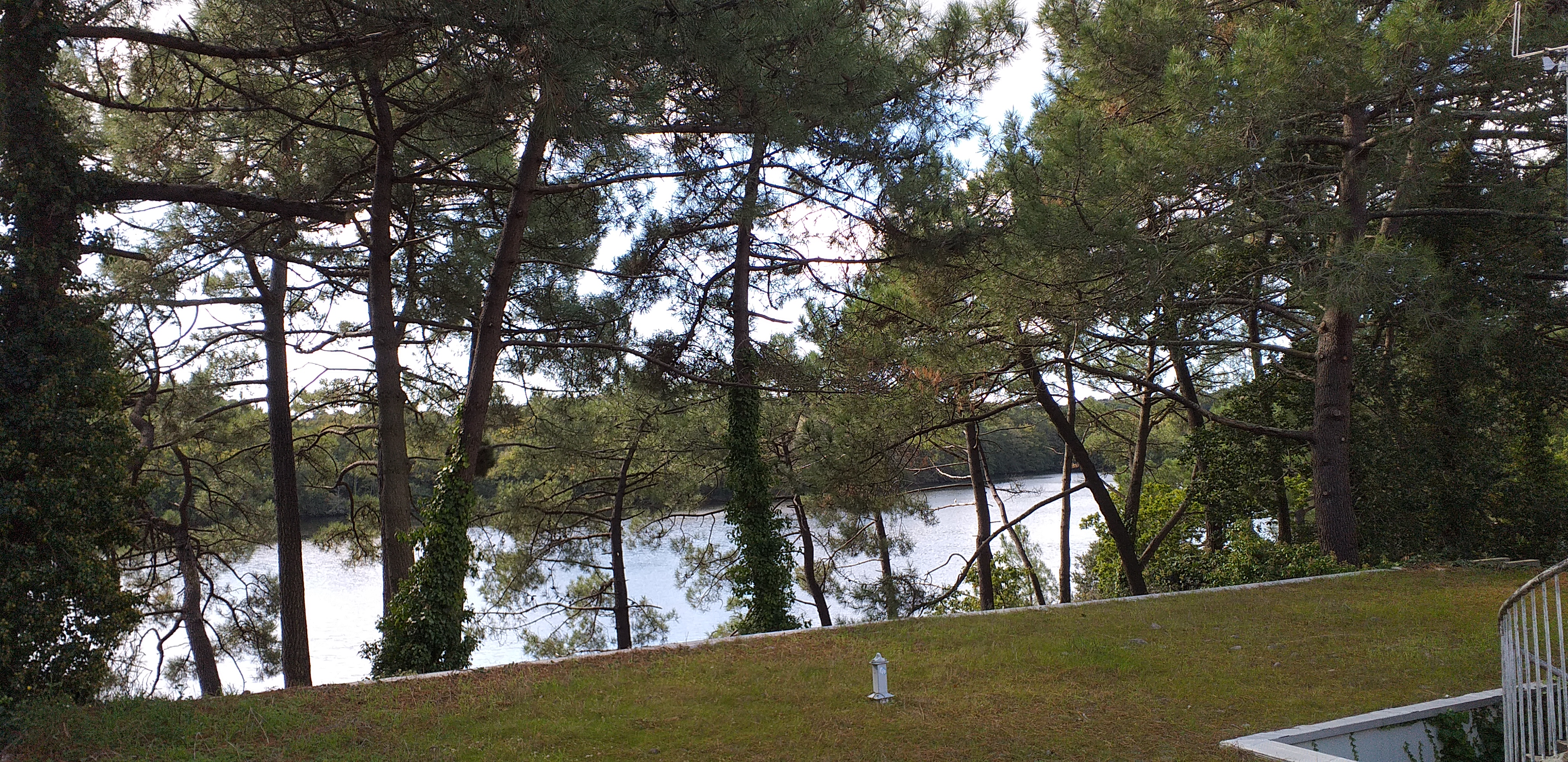 Photo n° 6 de l'avis de Romuald.e fait le 10/10/2020 à 13:35