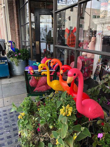 Gift Shop «Heebe Jeebe General Store», reviews and photos, 46 Kentucky St, Petaluma, CA 94952, USA