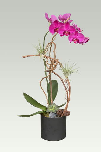 Flower Designer «The Flower Bazaar», reviews and photos, 920 5th St, Miami Beach, FL 33139, USA