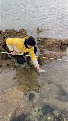 Crouesty Pêche à Arzon