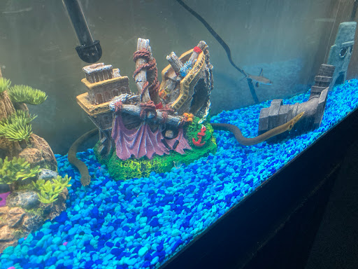 Pet Supply Store «All About Pets», reviews and photos, 9285 Cincinnati Columbus Rd, West Chester Township, OH 45069, USA