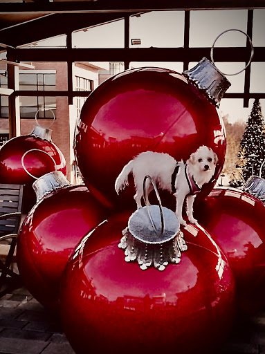 Shopping Mall «Clarksburg Premium Outlets», reviews and photos, 22705 Clarksburg Rd, Clarksburg, MD 20871, USA