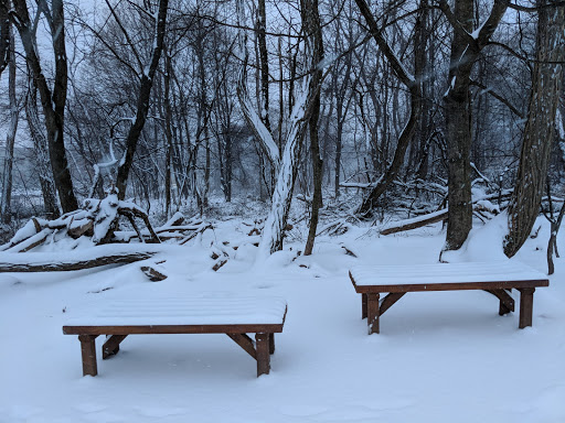 Dog Park «Waterman St. Dog Park», reviews and photos, 320 Waterman St, Providence, RI 02906, USA