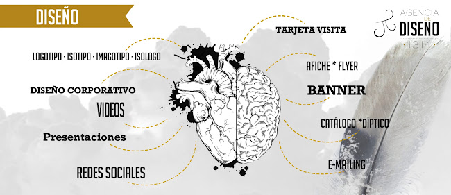 Opiniones de agencia de diseño en Temuco - Diseñador de sitios Web