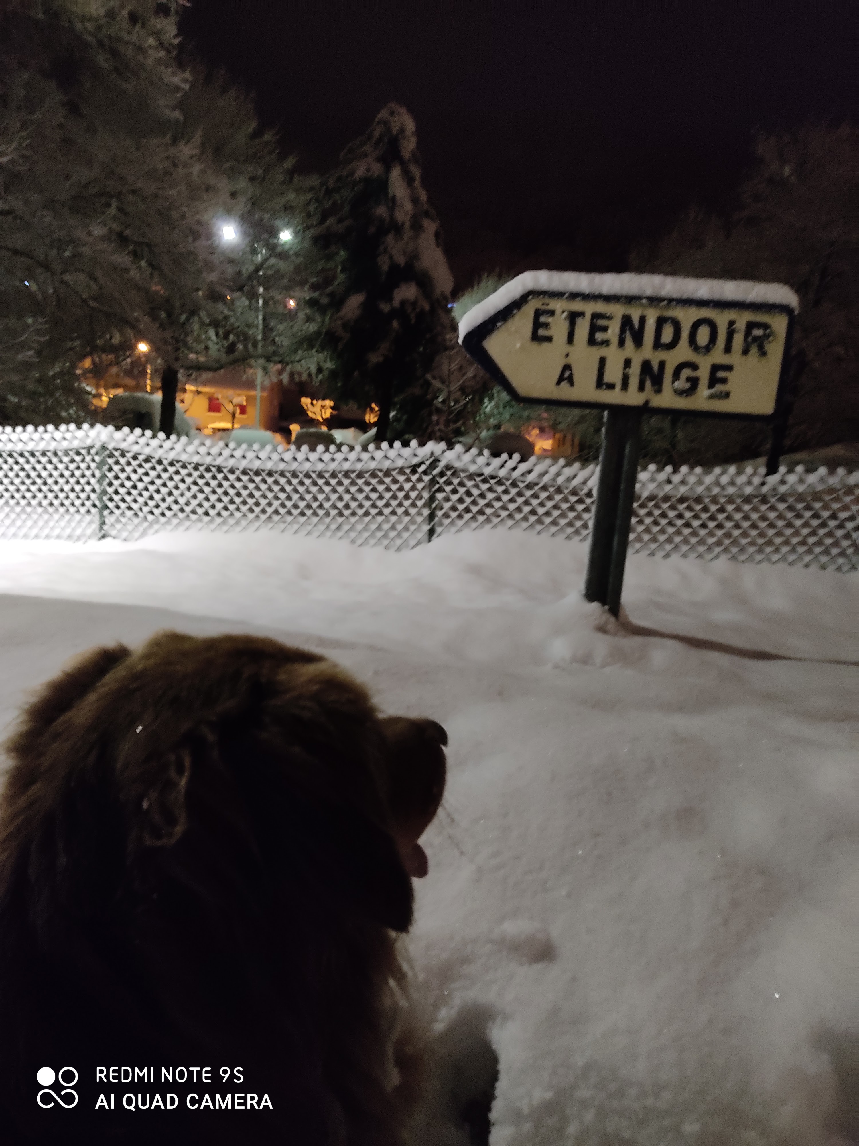 Photo n° 1 de l'avis de yannicke.a fait le 02/01/2021 à 17:14