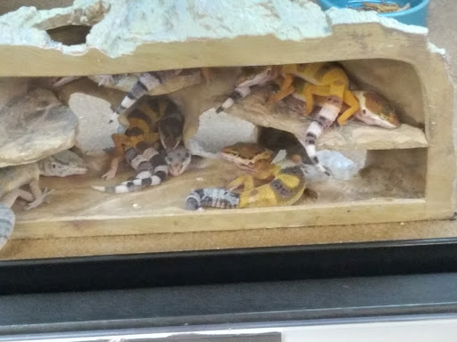 Pet Supply Store «Petco Animal Supplies», reviews and photos, 3444 S Mooney Blvd, Visalia, CA 93277, USA