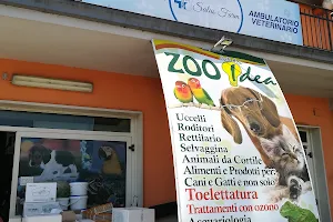 Zooidea Di Tiziana Zolli image