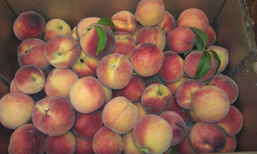 Health Food Store «Amish Healthy Foods», reviews and photos, 1025 N Western Ave, Chicago, IL 60622, USA