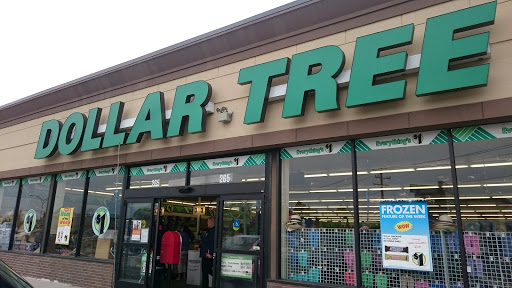 Dollar Store «Dollar Tree», reviews and photos, 3909 Queens Blvd, Sunnyside, NY 11104, USA