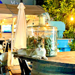 Photo n°18 de l'avis de Angelo.e fait le 27/07/2023 à 22:13 sur le  Ristopescheria Mare in tavola à Marano di Napoli