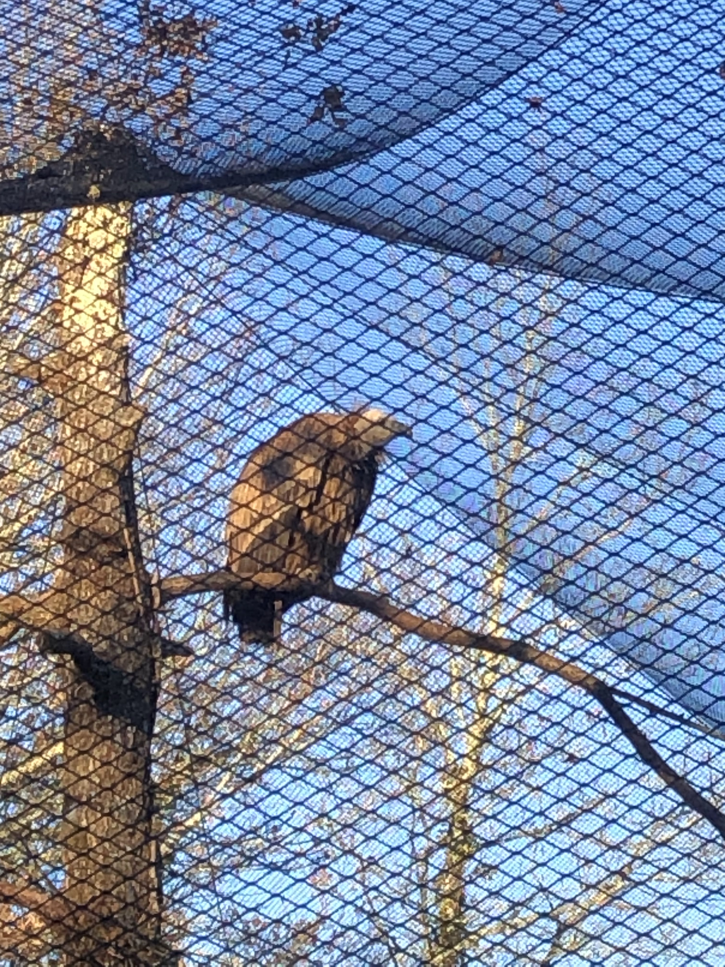 Photo n° 11 de l'avis de Claire.O fait le 18/12/2021 à 17:50