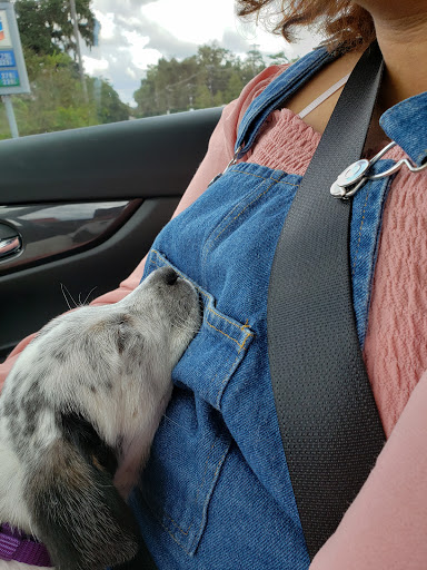 Pet Supply Store «PetSmart», reviews and photos, 3736 SW Archer Rd, Gainesville, FL 32608, USA