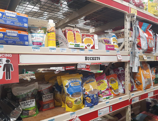 Home Improvement Store «Tractor Supply Co.», reviews and photos, 8447 FL-54, New Port Richey, FL 34655, USA