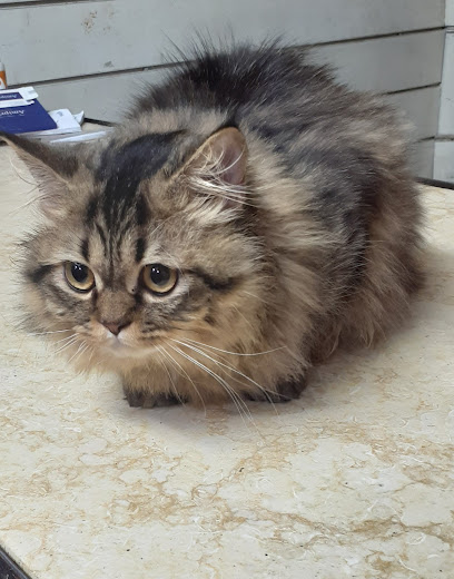 عيادة الحيوانات الأليفة pets care clinic