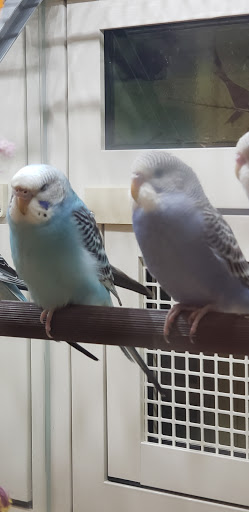 Pet Supply Store «Petco», reviews and photos, 369 S Weber Rd, Romeoville, IL 60446, USA