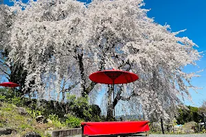 Lotus Genka Garden image