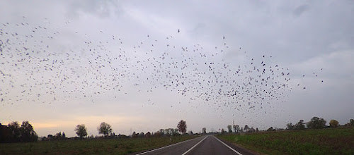 Torbole Casaglia à Torbole Casaglia