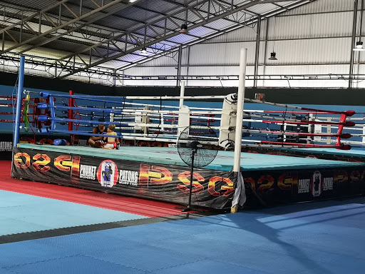 Boxing lessons for kids Phuket