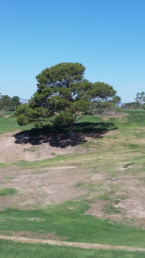 Country Club «Coronado Country Club», reviews and photos, 1044 Broadmoor Dr, El Paso, TX 79912, USA