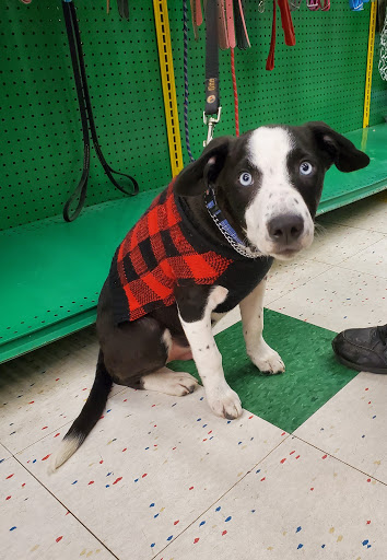 Pet Supply Store «Pet Supplies Plus», reviews and photos, 100 Mall Dr, Steubenville, OH 43952, USA