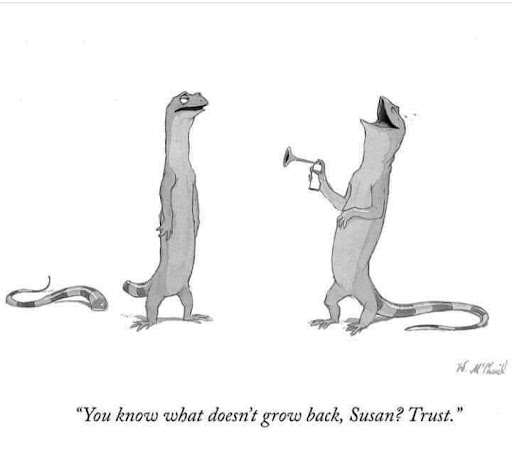 Phone Repair Service «Rob the Phone Doctor», reviews and photos, 3916 S Cleveland Ave, Fort Myers, FL 33901, USA