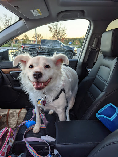 Pet Supply Store «Petco Animal Supplies», reviews and photos, 141 Tuckahoe Rd #130, Sewell, NJ 08080, USA