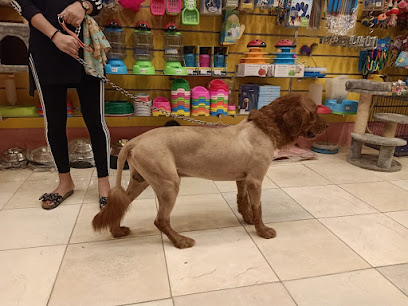ZOO Pet Shop
