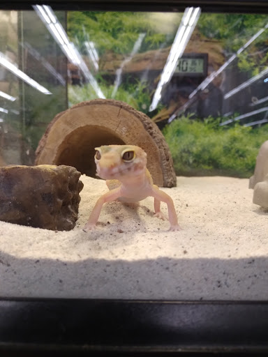 Pet Store «PV Pets», reviews and photos, 233 S Broadway, Pennsville, NJ 08070, USA