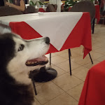 Photo n°9 de l'avis de Daniela.r fait le 10/09/2022 à 20:50 sur le  Ristorante Pizzeria Peter Pan à Arco