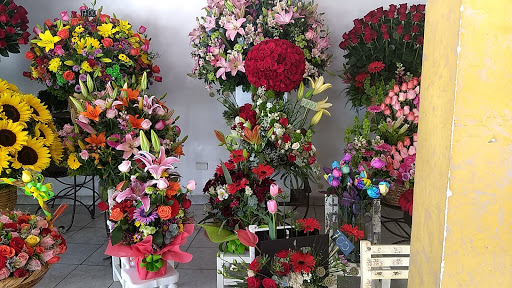 FLORERIAS CASABLANCA – Metepec