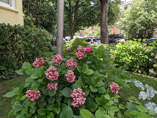 Modern Art Museum «The Phillips Collection», reviews and photos, 1600 21st St NW, Washington, DC 20009, USA