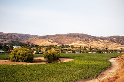 Photos of Domain Road Vineyard