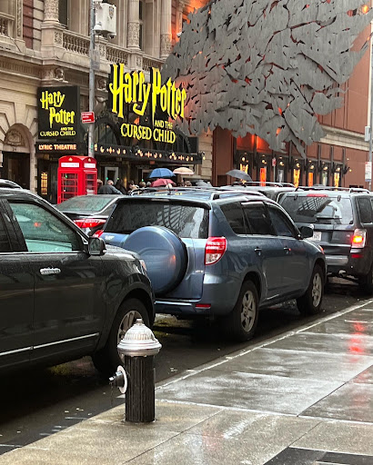 Performing Arts Theater «Lyric Theatre», reviews and photos, 213 W 42nd St, New York, NY 10036, USA