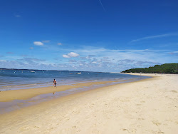 Photo de Plage des Arbousiers et le règlement