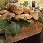 Photo n°1 de l'avis de Samanta.a fait le 01/09/2022 à 04:26 sur le  Ristorante Osteria Valle à Casalmaggiore