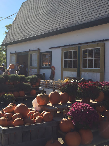 Orchard «Riamede Farm», reviews and photos, 122 Oakdale Rd, Chester, NJ 07930, USA