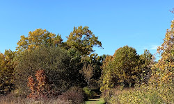 Prairie Moraine Dog Park