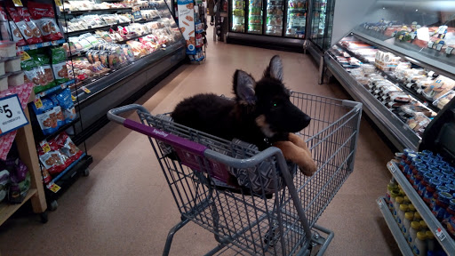 Supermarket «Super Stop & Shop», reviews and photos, 454 Fort Salonga Rd, Northport, NY 11768, USA