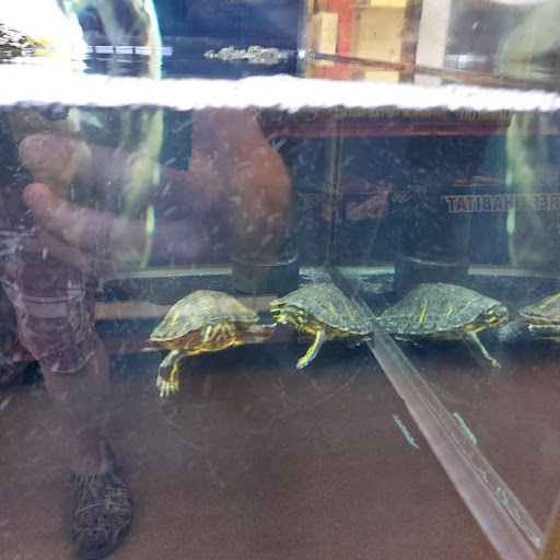 Pet Supply Store «Petco Animal Supplies», reviews and photos, 364 Randall Rd, South Elgin, IL 60177, USA