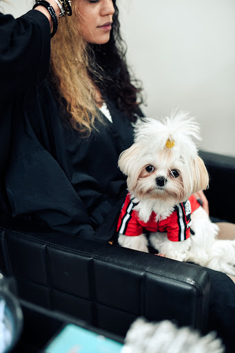 Beauty Salon «Salon Raybon», reviews and photos, 13214 Coursey Blvd, Baton Rouge, LA 70816, USA