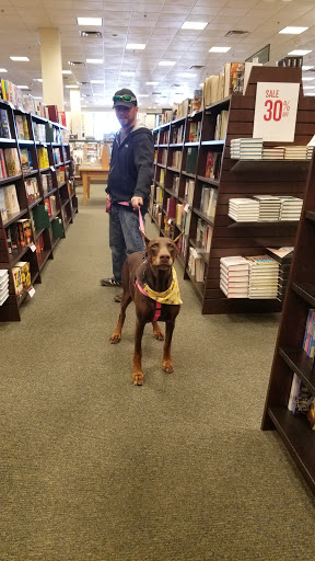 Book Store «Barnes & Noble Booksellers Happy Valley», reviews and photos, 2501 W Happy Valley Rd, Phoenix, AZ 85085, USA