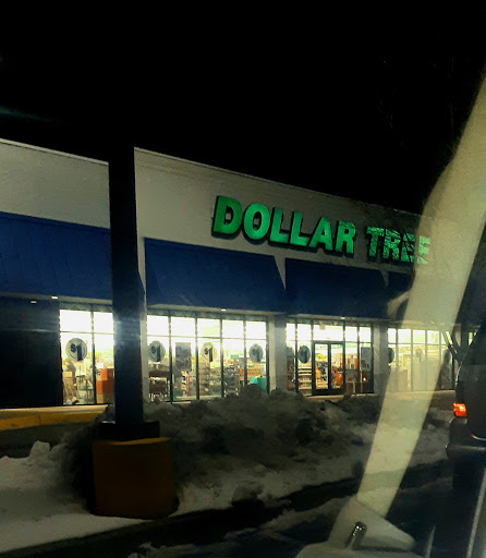 Dollar Store «Dollar Tree», reviews and photos, 9335 PA-61, Coal Township, PA 17866, USA