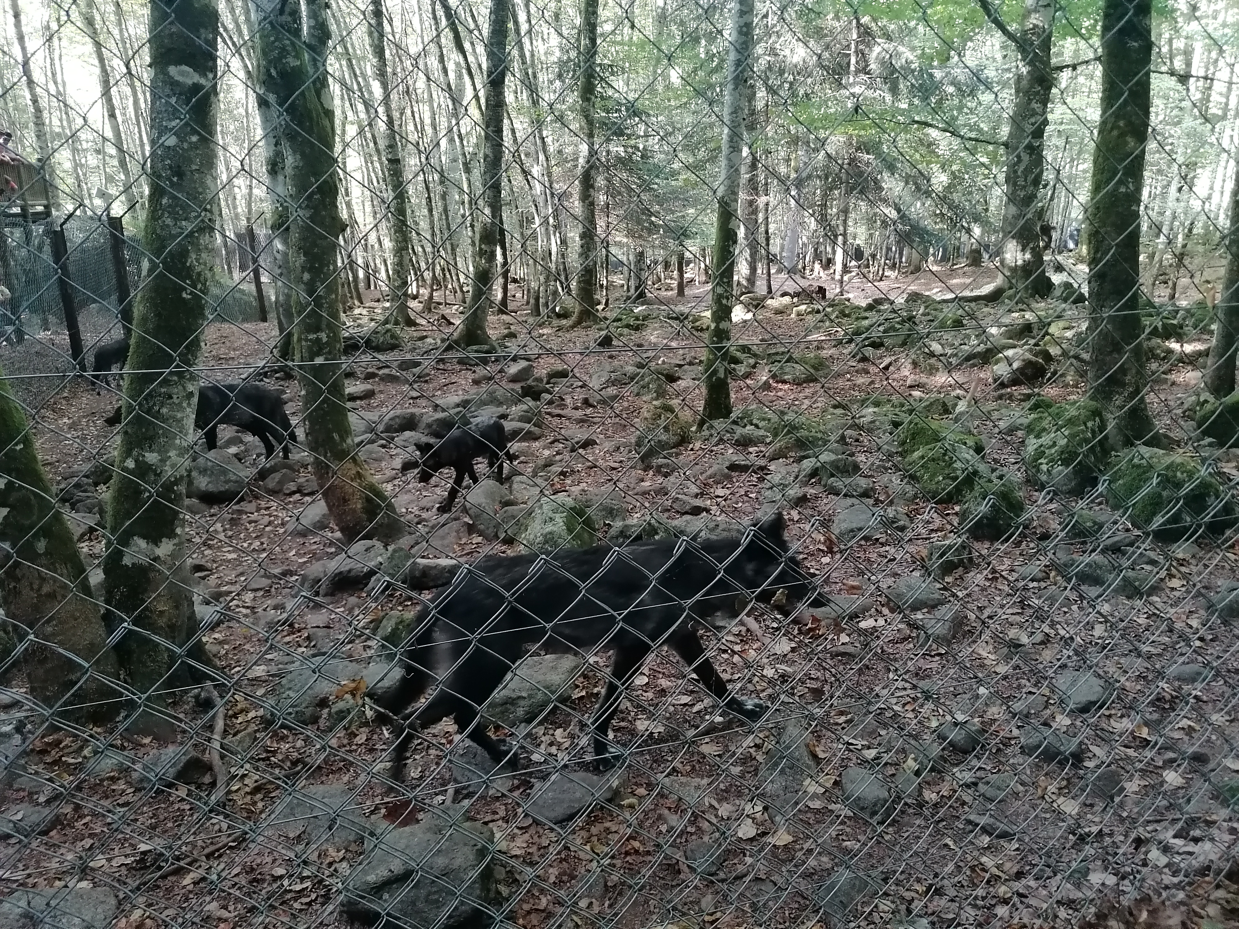 Photo n° 2 de l'avis de Gilles.o fait le 15/08/2023 à 16:36